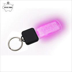 KEY RING WITH LEDPULSE®